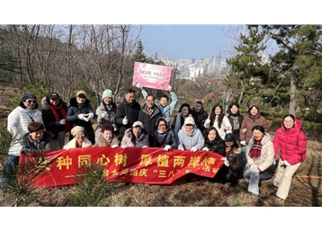 “植此春櫻，不負春光”青島市臺協婦聯會2026年植樹節主題活動采風